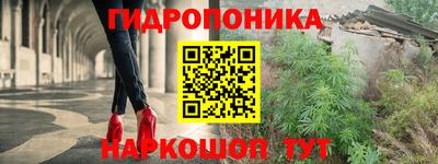 крисы Мариинск