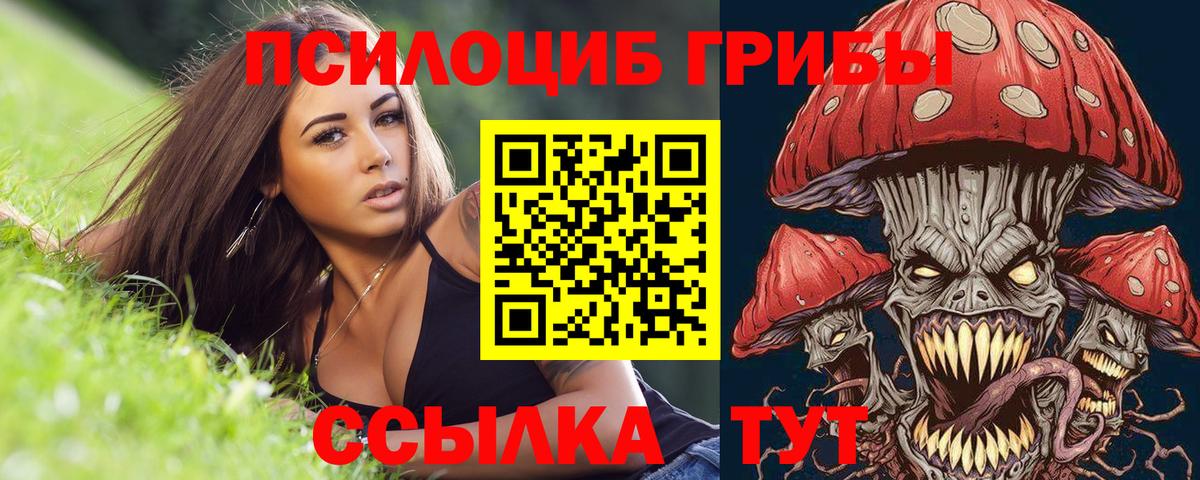 Златоуст  хочу   Вход с VPN  Галлюциногенные грибы MAGIC MUSHROOMS 