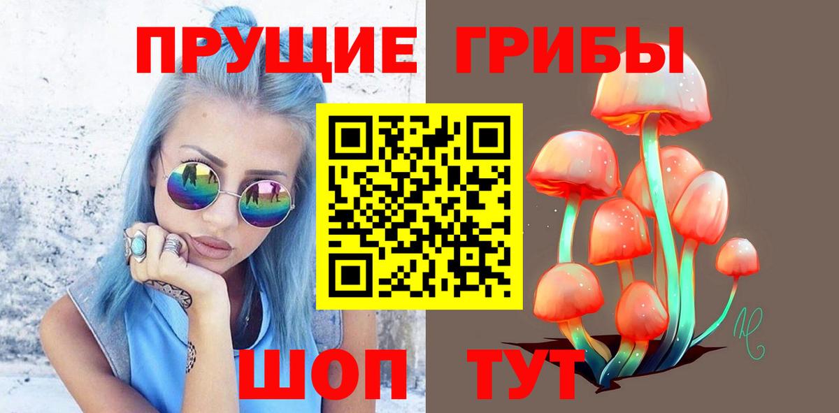 Псилоцибиновые грибы прущие грибы Златоуст